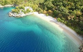 Tramuntana Holiday Home
